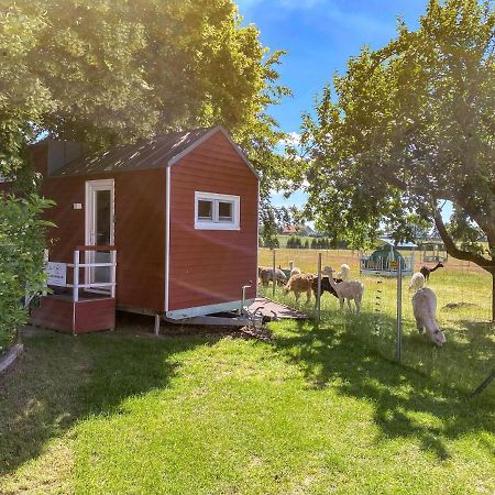 Tiny House Auf Der Alpaka Farm Villa Rubkow Екстериор снимка